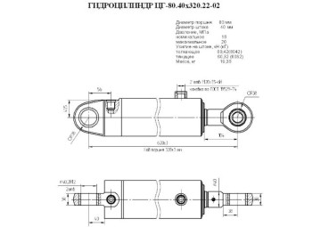 ЦГ-80.40х320.22-02