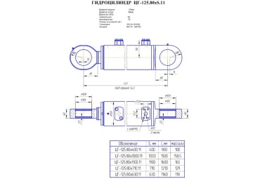 ЦГ-125х80х710.11
