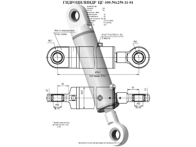 ЦГ-100.50х250.11-01