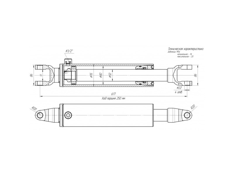 ЦГ-80.50х250.01-01