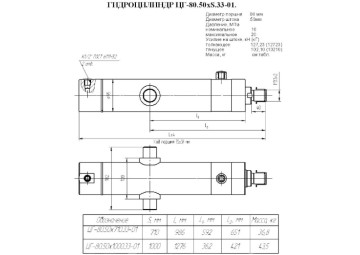 ЦГ-80.50х710.33-01