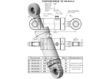 ЦГ-100.56х350.11