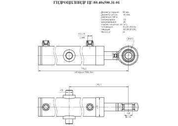 ЦГ-80.40х500.31-01