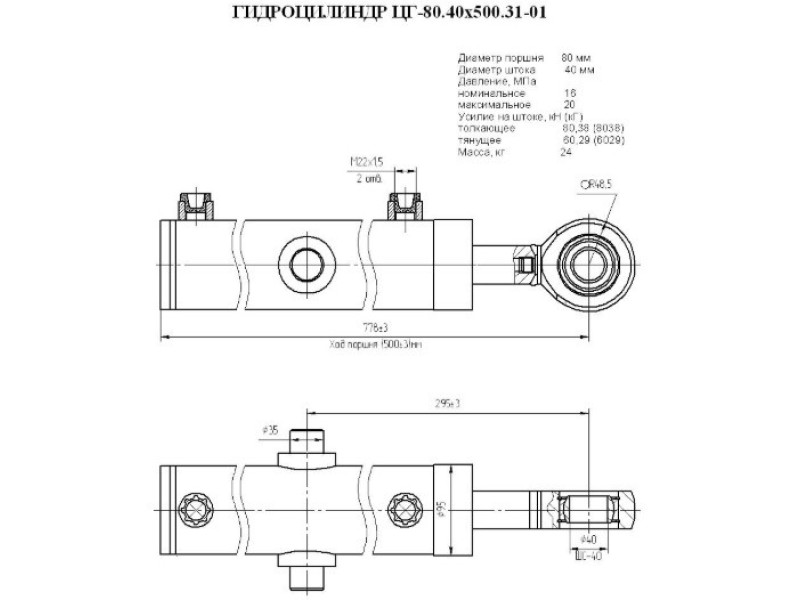 ЦГ-80.40х500.31-01