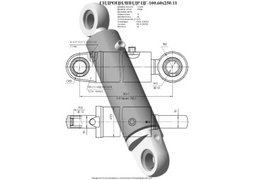 ЦГ-100.60х250.11
