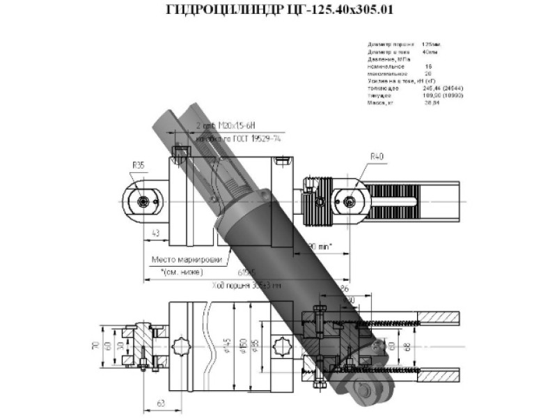ЦГ-125.40х305.01
