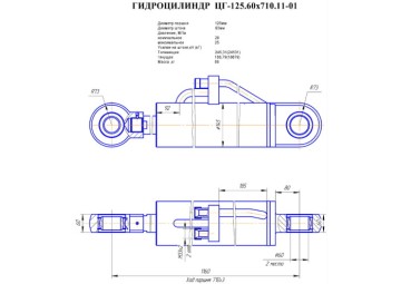 ЦГ-125.60х710.11-01